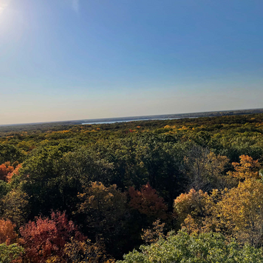 Nature Photography: Minnesota Fall 500 Jigsaw Puzzle 3D Modell