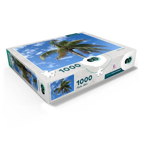Nature Photography: Palm Skies, Florida, USA 1000 Jigsaw Puzzle box view1