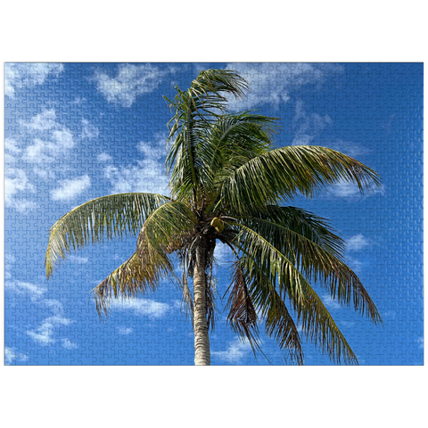 puzzleplate Nature Photography: Palm Skies, Florida, USA 1000 Jigsaw Puzzle