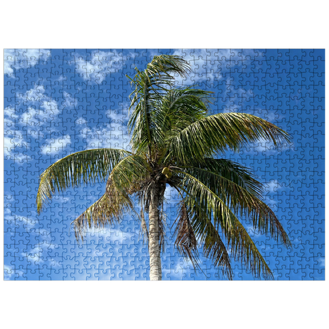 puzzleplate Nature Photography: Palm Skies, Florida, USA 500 Jigsaw Puzzle