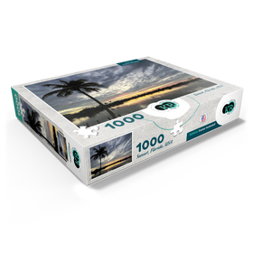 1000