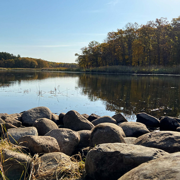 Nature Photography: Tranquil Pond, Minnesota, USA 500 Jigsaw Puzzle 3D Modell