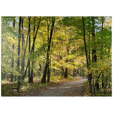 puzzleplate Nature Photography: Scenic Trail, Minnesota, USA 1000 Jigsaw Puzzle