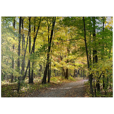 puzzleplate Nature Photography: Scenic Trail, Minnesota, USA 1000 Jigsaw Puzzle