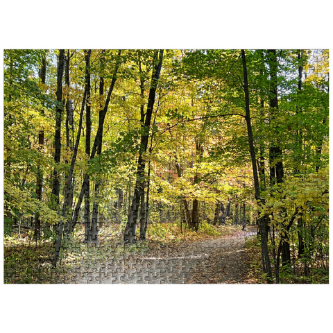 puzzleplate Nature Photography: Scenic Trail, Minnesota, USA 500 Jigsaw Puzzle