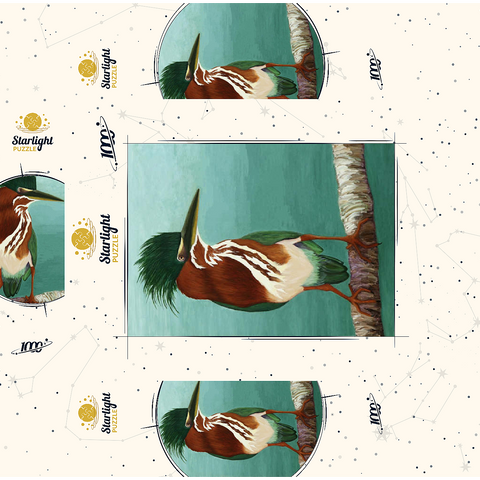 Green Heron on Branch with Vibrant Plumage 1000 Jigsaw Puzzle box 3D Modell