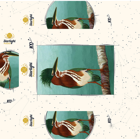 Green Heron on Branch with Vibrant Plumage 100 Jigsaw Puzzle box 3D Modell