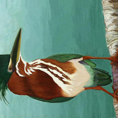 Green Heron on Branch with Vibrant Plumage 500 Jigsaw Puzzle 3D Modell