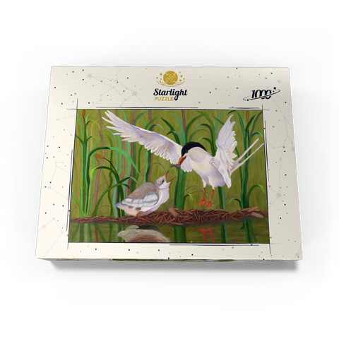 Forster's Tern Feeding Chick in Wetlands 1000 Jigsaw Puzzle box view3