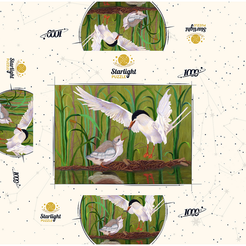 Forster's Tern Feeding Chick in Wetlands 1000 Jigsaw Puzzle box 3D Modell