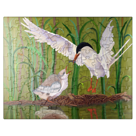 puzzleplate Forster's Tern Feeding Chick in Wetlands 100 Jigsaw Puzzle