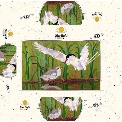 Forster's Tern Feeding Chick in Wetlands 100 Jigsaw Puzzle box 3D Modell