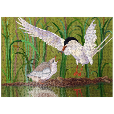 puzzleplate Forster's Tern Feeding Chick in Wetlands 500 Jigsaw Puzzle