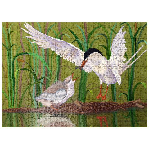 puzzleplate Forster's Tern Feeding Chick in Wetlands 500 Jigsaw Puzzle