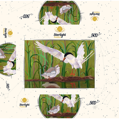 Forster's Tern Feeding Chick in Wetlands 500 Jigsaw Puzzle box 3D Modell