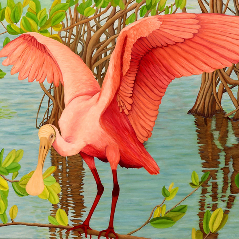 Roseate Spoonbill in Mangrove Habitat 1000 Jigsaw Puzzle 3D Modell