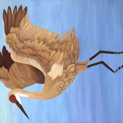 Sandhill Crane with Outstretched Wings 500 Jigsaw Puzzle 3D Modell