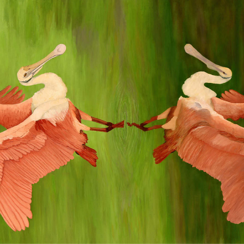 Roseate Spoonbill with Mirror Reflection 100 Jigsaw Puzzle 3D Modell