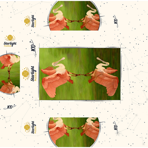 Roseate Spoonbill with Mirror Reflection 100 Jigsaw Puzzle box 3D Modell