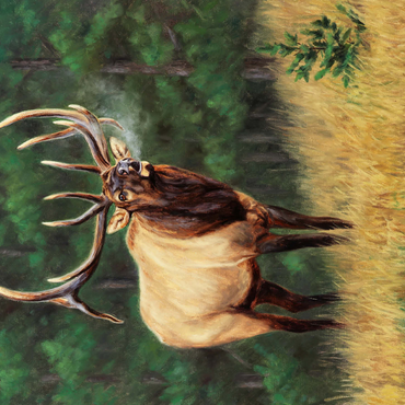 Majestic Bull Elk in Forest Clearing 500 Jigsaw Puzzle 3D Modell