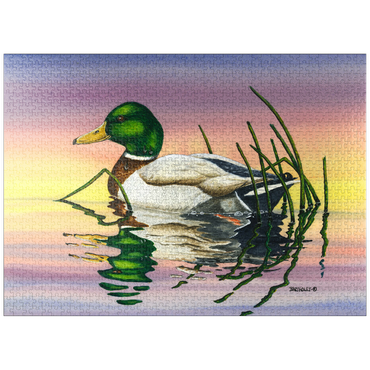 puzzleplate Mallard Duck at Sunset Reflection 1000 Jigsaw Puzzle