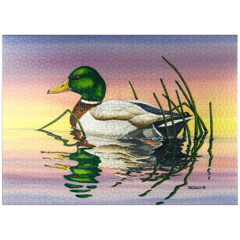puzzleplate Mallard Duck at Sunset Reflection 1000 Jigsaw Puzzle