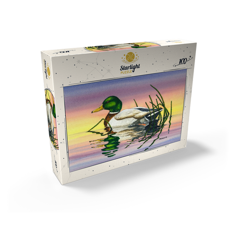 Mallard Duck at Sunset Reflection 100 Jigsaw Puzzle box view2
