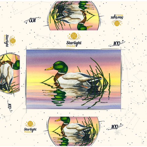 Mallard Duck at Sunset Reflection 100 Jigsaw Puzzle box 3D Modell