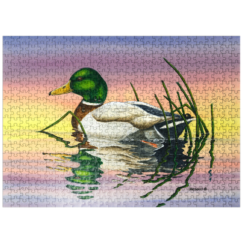 puzzleplate Mallard Duck at Sunset Reflection 500 Jigsaw Puzzle