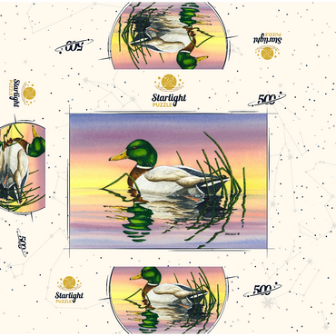 Mallard Duck at Sunset Reflection 500 Jigsaw Puzzle box 3D Modell