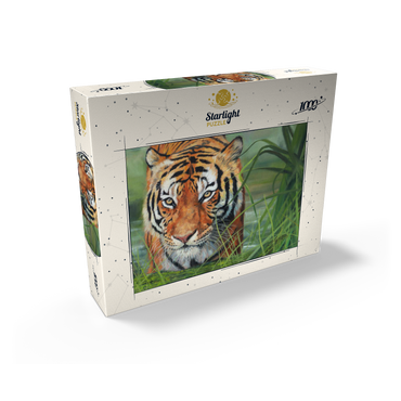 Tiger Stalking Through Lush Wetlands 1000 Jigsaw Puzzle box view2