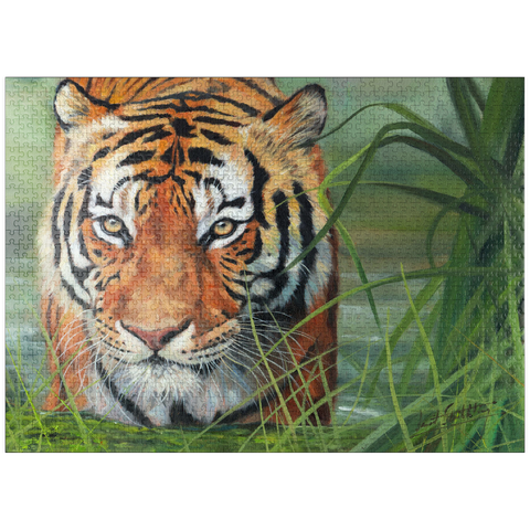 puzzleplate Tiger Stalking Through Lush Wetlands 1000 Jigsaw Puzzle