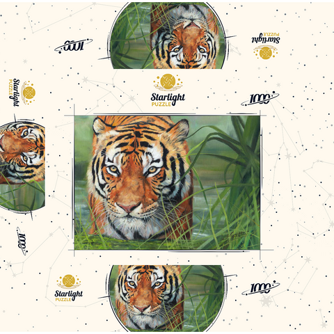 Tiger Stalking Through Lush Wetlands 1000 Jigsaw Puzzle box 3D Modell