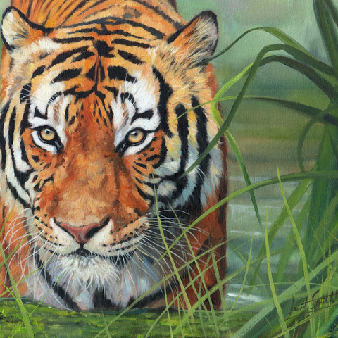 Tiger Stalking Through Lush Wetlands 100 Jigsaw Puzzle 3D Modell