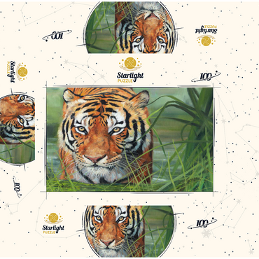 Tiger Stalking Through Lush Wetlands 100 Jigsaw Puzzle box 3D Modell