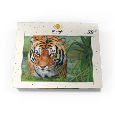 Tiger Stalking Through Lush Wetlands 500 Jigsaw Puzzle box view3