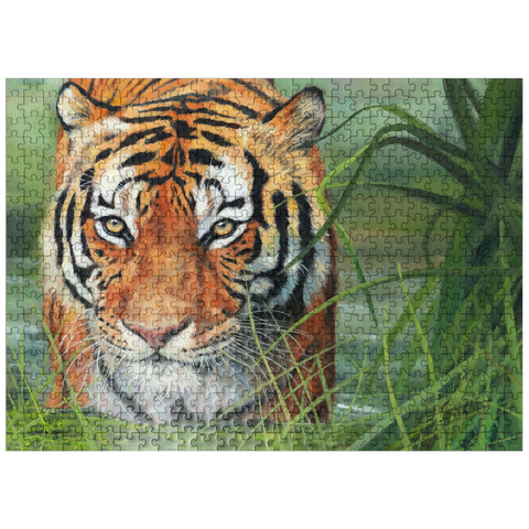 puzzleplate Tiger Stalking Through Lush Wetlands 500 Jigsaw Puzzle