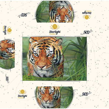 Tiger Stalking Through Lush Wetlands 500 Jigsaw Puzzle box 3D Modell
