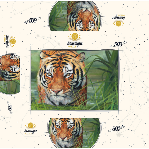 Tiger Stalking Through Lush Wetlands 500 Jigsaw Puzzle box 3D Modell