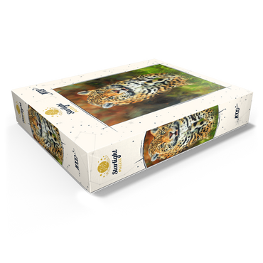 Leopard Stepping Through Lush Grass 1000 Jigsaw Puzzle box view1