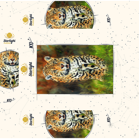 Leopard Stepping Through Lush Grass 100 Jigsaw Puzzle box 3D Modell