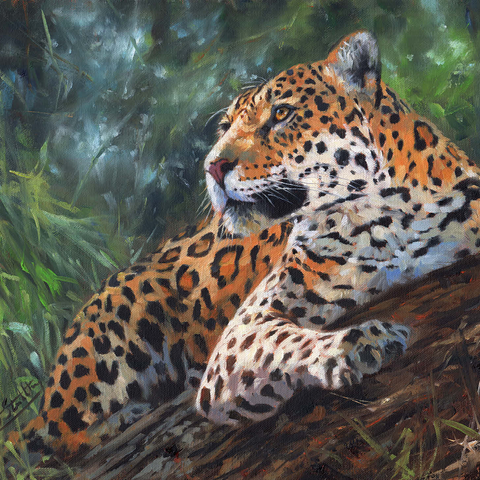 Leopard Resting on Forest Log 1000 Jigsaw Puzzle 3D Modell