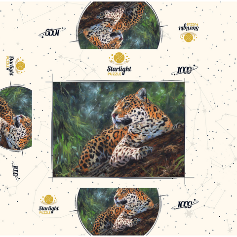 Leopard Resting on Forest Log 1000 Jigsaw Puzzle box 3D Modell