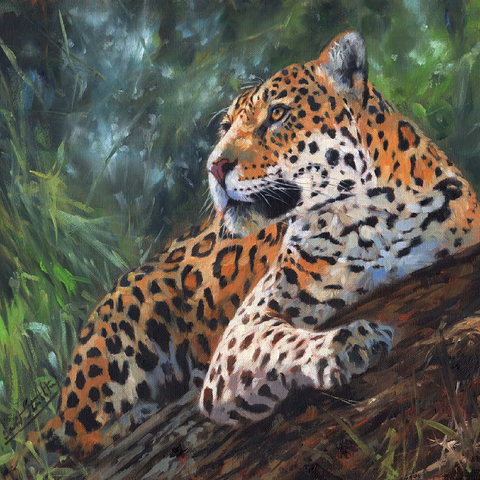 Leopard Resting on Forest Log 100 Jigsaw Puzzle 3D Modell