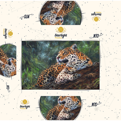 Leopard Resting on Forest Log 100 Jigsaw Puzzle box 3D Modell