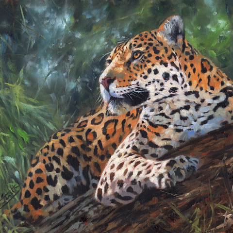 Leopard Resting on Forest Log 500 Jigsaw Puzzle 3D Modell