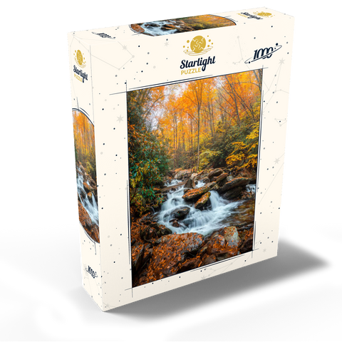 Cascading Stream in Autumn Forest 1000 Jigsaw Puzzle box view2