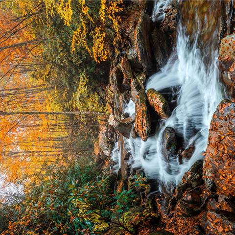 Cascading Stream in Autumn Forest 1000 Jigsaw Puzzle 3D Modell