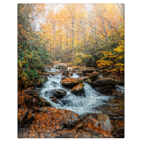 puzzleplate Cascading Stream in Autumn Forest 100 Jigsaw Puzzle