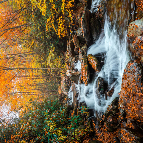 Cascading Stream in Autumn Forest 100 Jigsaw Puzzle 3D Modell